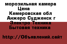 морозильная камера › Цена ­ 3 000 - Кемеровская обл., Анжеро-Судженск г. Электро-Техника » Бытовая техника   